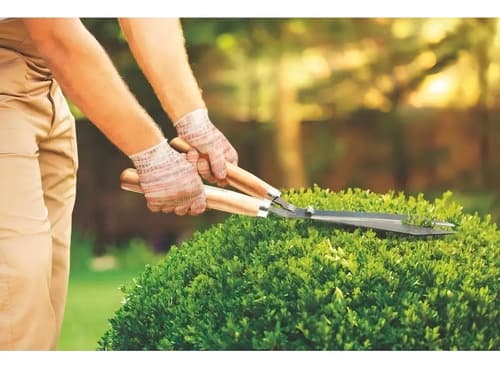 Tijera De Cerco Tramontina 78330/125 Jardin - Tyt Marrón Claro