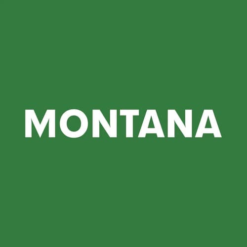 Motosierra Montana Mon-920 Color Verde Oscuro