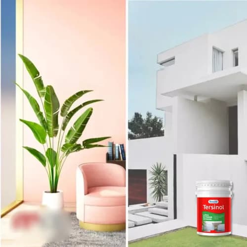 Pintura Tersuave Línea Tersinol 20l Látex Blanco Antihongo Mate Exterior Interior