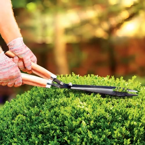 Tijera De Cerco Tramontina 78330/125 Jardin - Tyt Marrón Claro