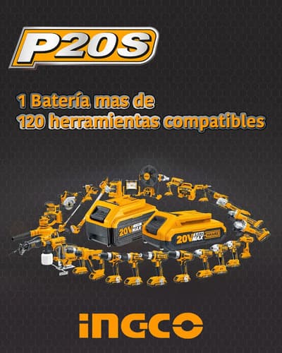 Set X 2 Baterias 20v 5amp + 1 Cargador Ingco Fbcpk2425- Smf