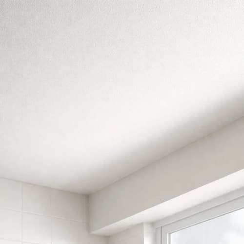 Pintura Cielos Rasos Antihongos Sika Blanco 20 Litros Mate