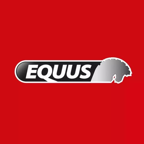 Cortadora De Cerámica Y Porcelanato 120cm Profesional Equus