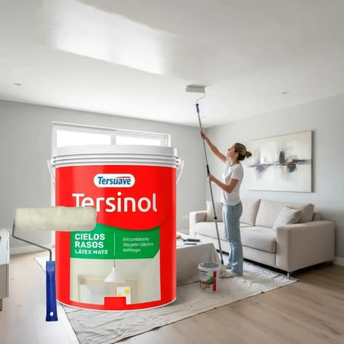 Pintura Anticonden Cielorrasos Tersuave Tersinol 10lts Mfsho 0 Mate