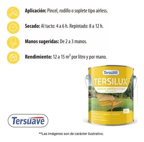 Tersuave Multipropósito Convertidor Brillante Esmalte 4 L 1 Unidad Negro