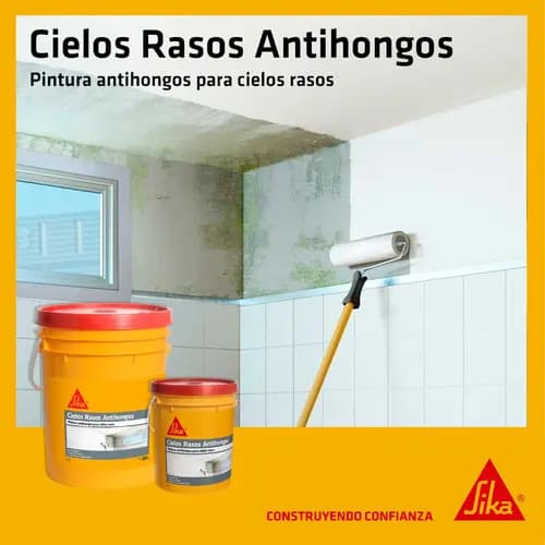 Pintura Cielos Rasos Antihongos Sika Blanco 20 Litros Mate