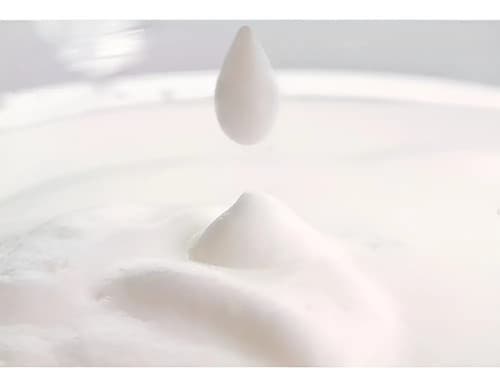 Espumador De Leche Philips | 120 Ml | Ca6500/63 Color Negro