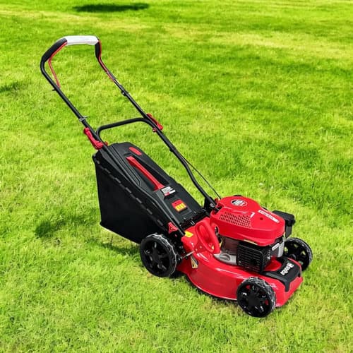 Cortadora De Césped Naftera 3.5 Hp 17 Ancho De Corte Equus Color Rojo