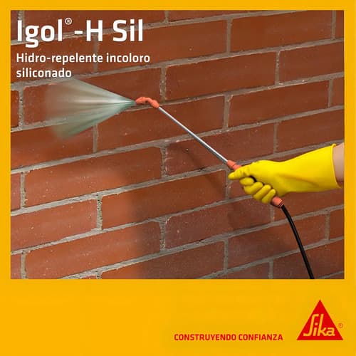 Sika Impermeabilizante Ladrillos Incoloro Igol-h-sil 5lt Brillante