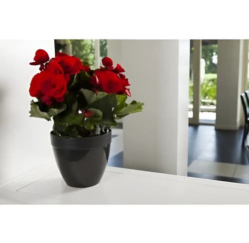 Maceta De Resina Touch 16 Cm