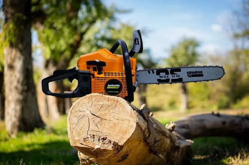 Motosierra Naftera Explosion Lusqtoff 52cc 2,5hp Garden Plus Color Naranja