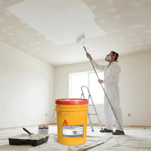Pintura Cielos Rasos Antihongos Sika Blanco 20 Litros Mate