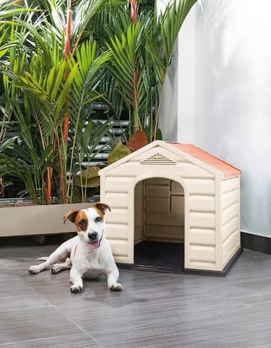 Casa Cucha Para Perro Mascota Pequeña Rimax Ma Color Beige
