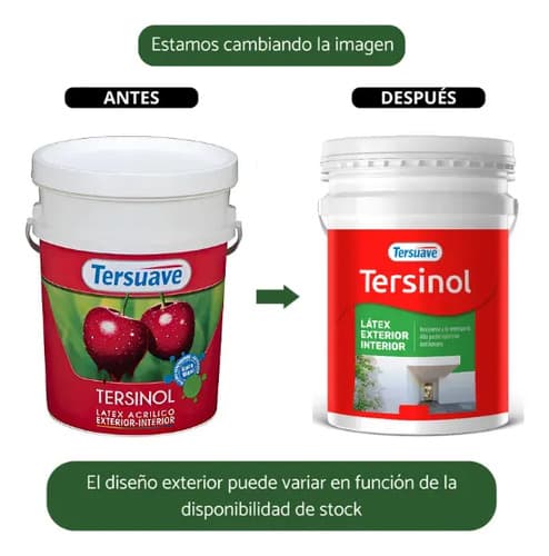Pintura Tersuave Línea Tersinol 20l Látex Blanco Antihongo Mate Exterior Interior