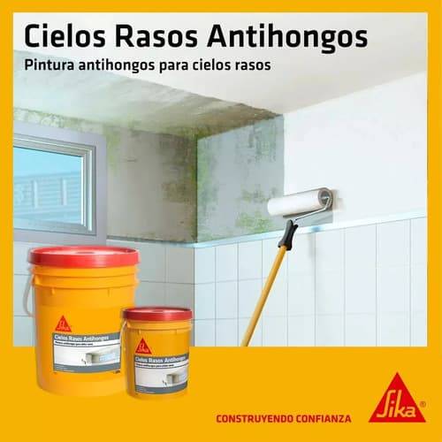 Pintura Cielos Rasos Antihongo Sika 20+20 Blanco