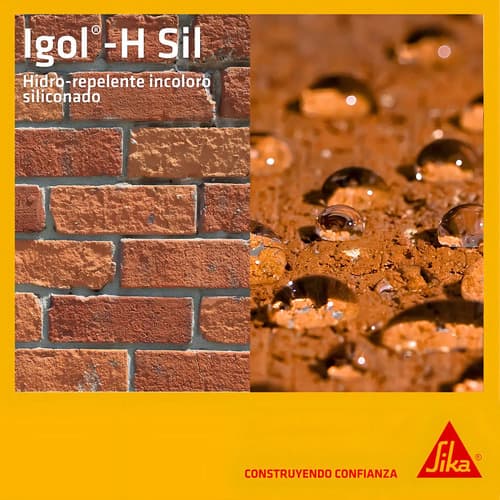 Sika Impermeabilizante Ladrillos Incoloro Igol-h-sil 5lt Brillante