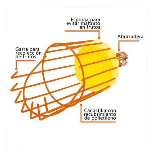 Recolector De Fruta Sin Mango, Polietileno, Truper 14338 Naranja