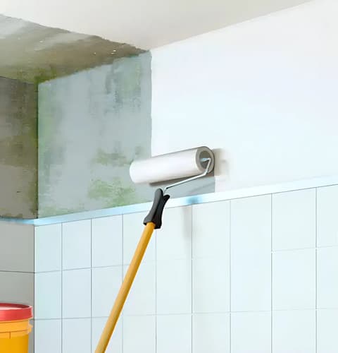 Pintura Cielos Rasos Antihongos Sika Blanco 20 Litros Mate