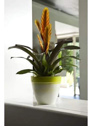 Maceta De Resina Touch Exclusive 25 Cm