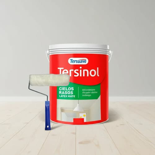 Pintura Anticonden Cielorrasos Tersuave Tersinol 10lts Mfsho 0 Mate
