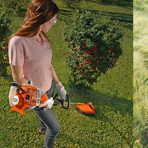 Desmalezadora Stihl Fs 55 R