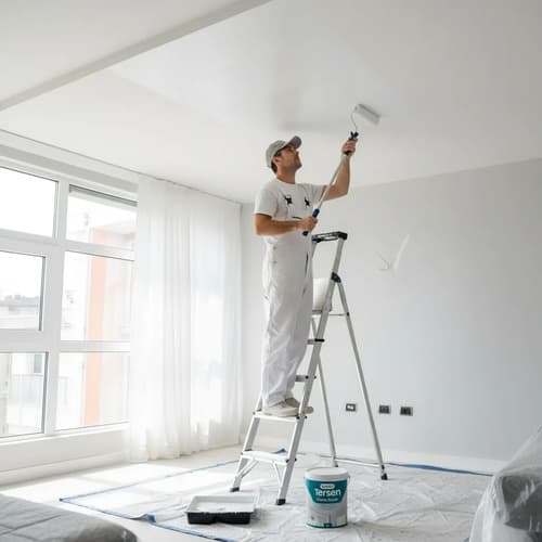 Pintura Anticonden Cielorrasos Tersuave Tersinol 20lts Blanco Mate